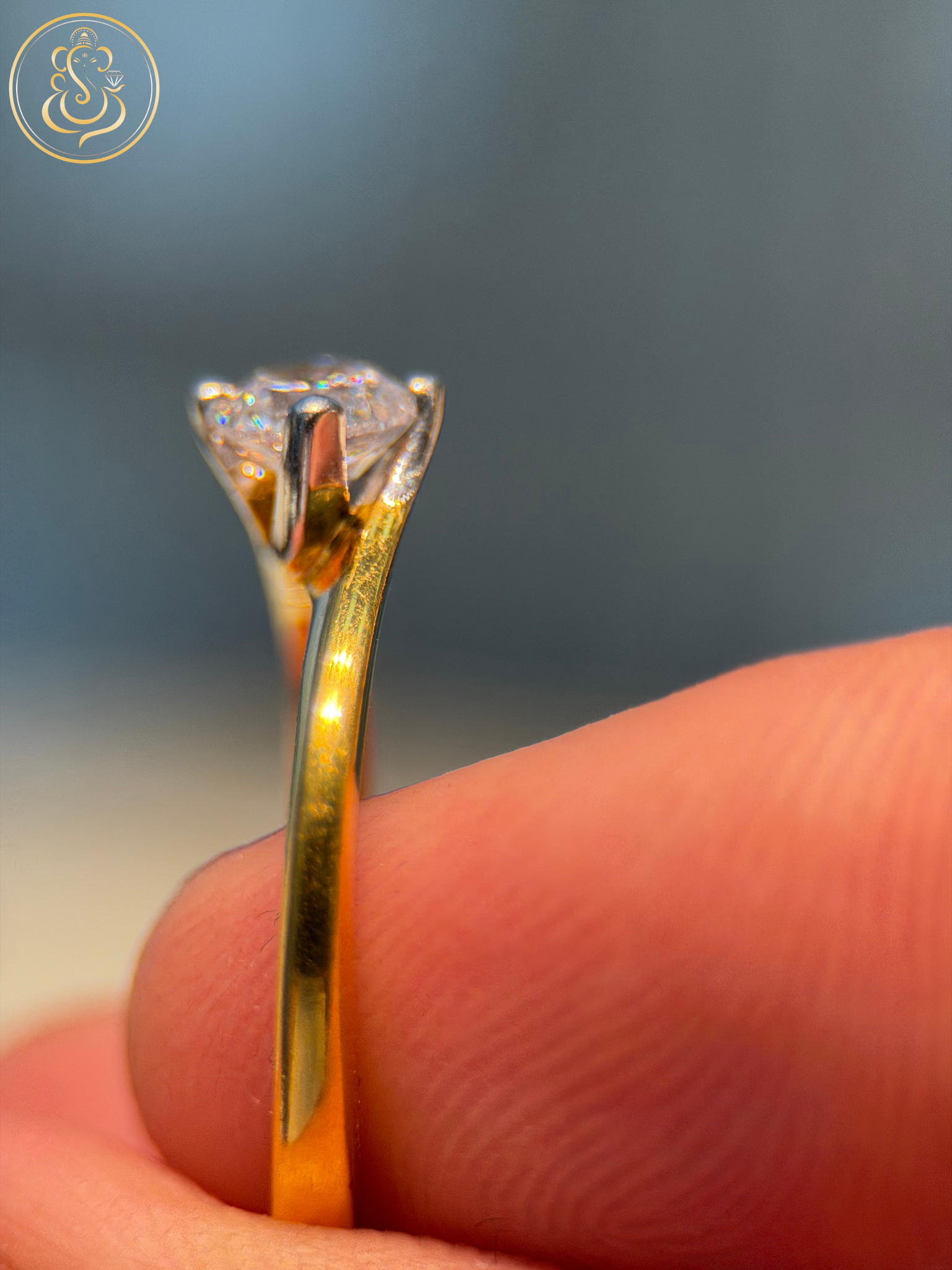 Untitled design (19)