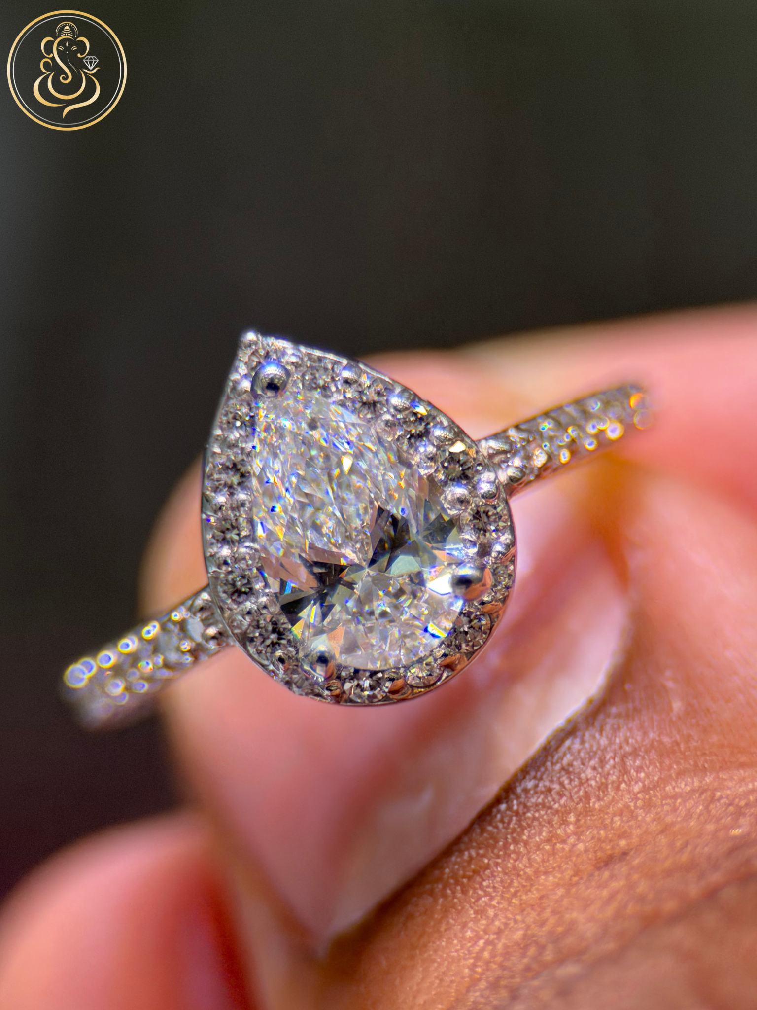 Untitled design - 2026-01-27T220553.997