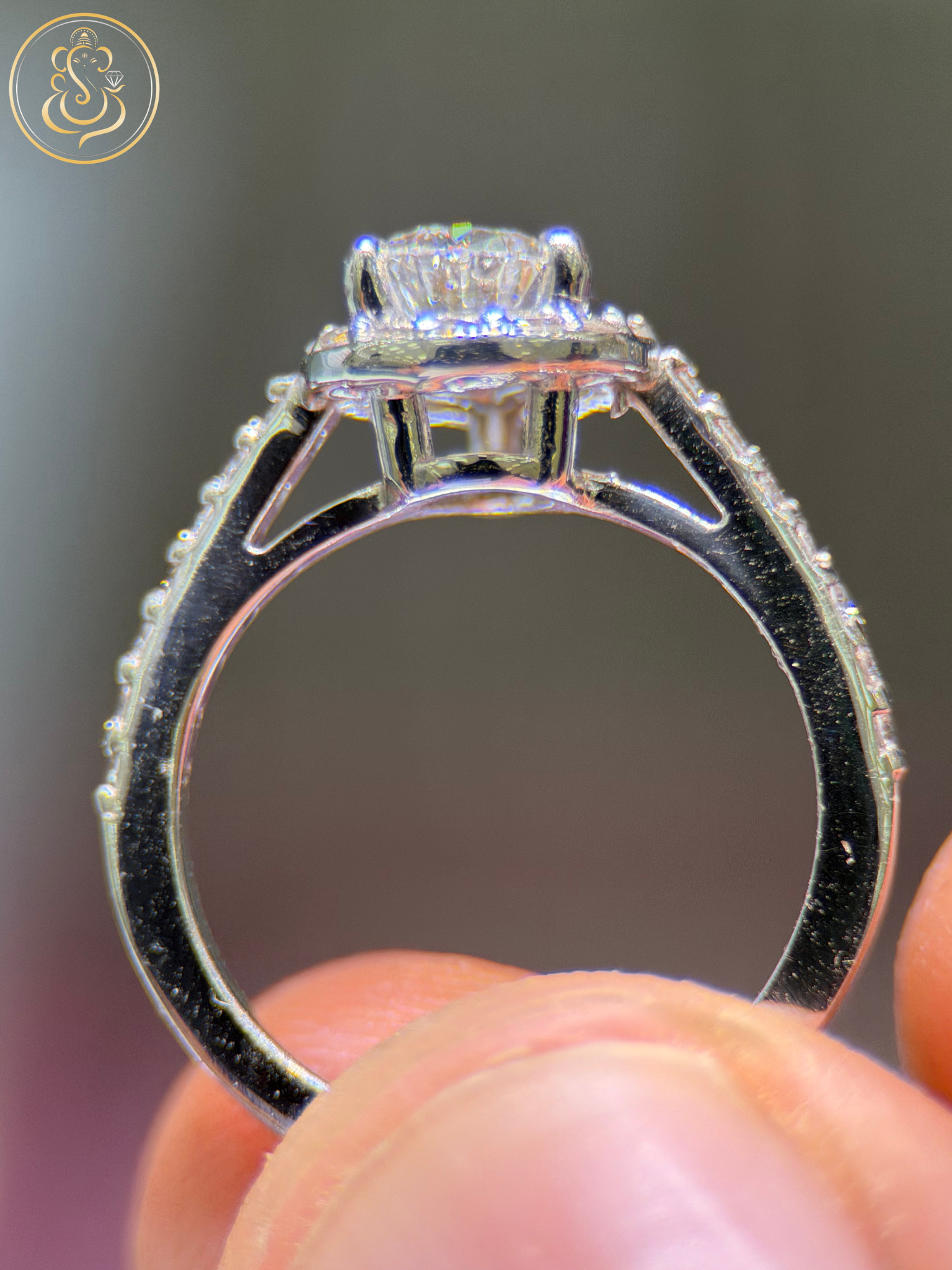 Untitled design - 2026-01-27T220715.026