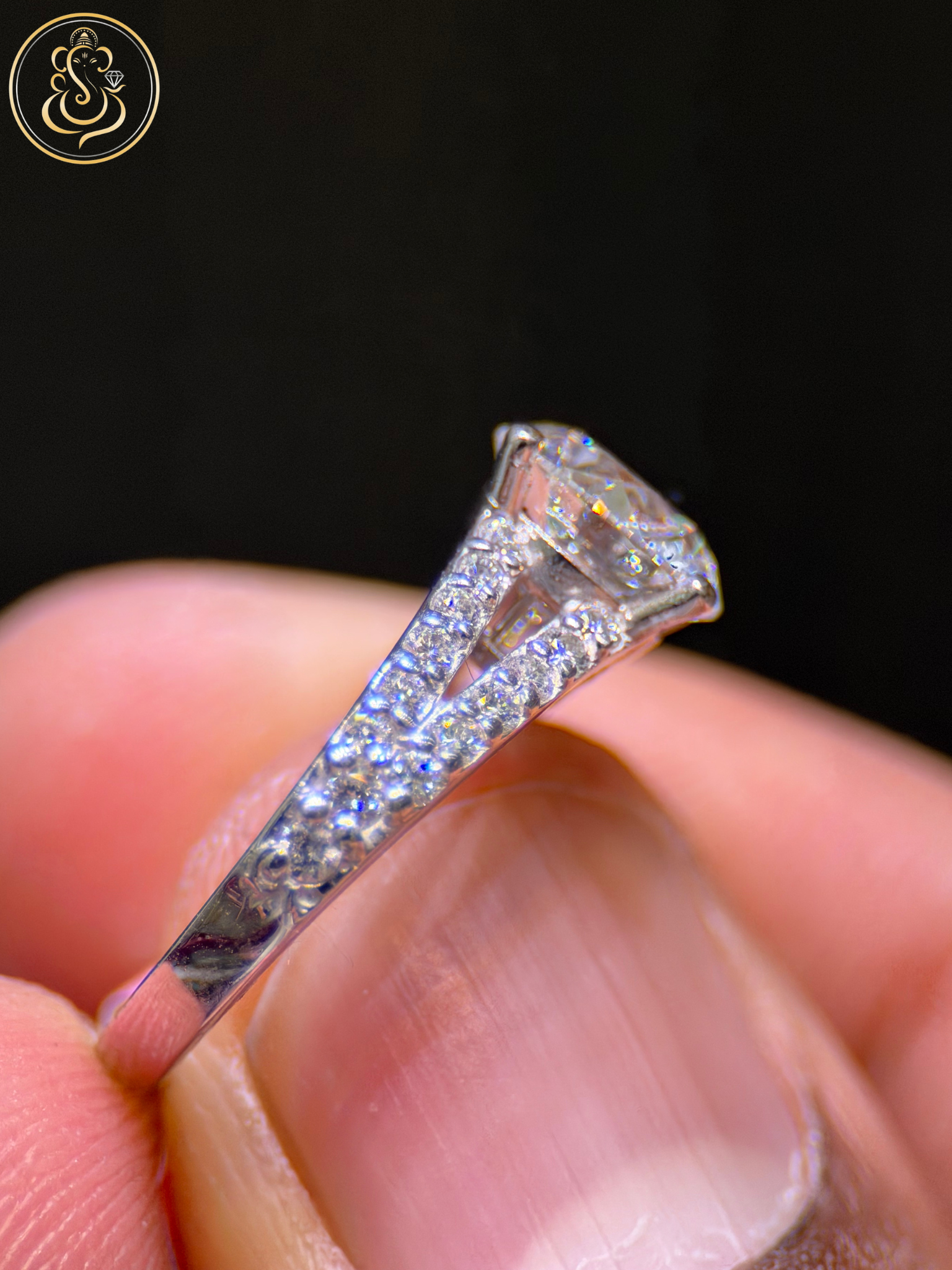 Untitled design - 2026-01-28T123929.956