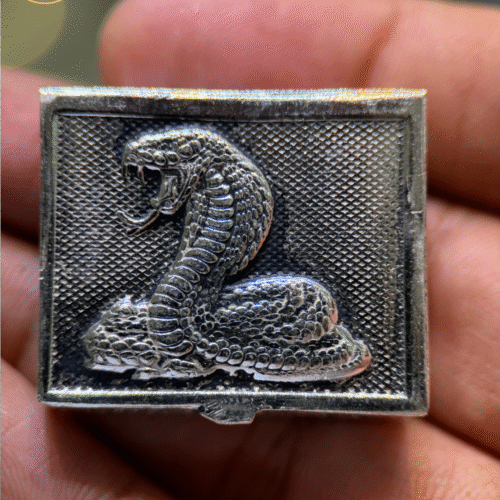 Silver Snake Box with Oxidized Finish